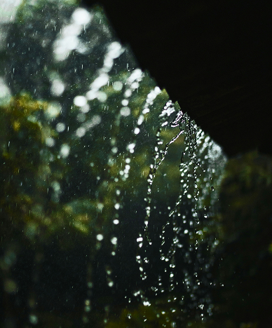 屋根から雨